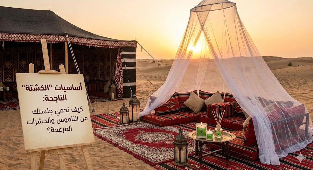 أساسيات "الكشتة" الناجحة: كيف تحمي جلستك من الناموس والحشرات المزعجة؟