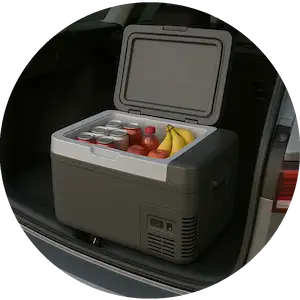 Mini Fridge