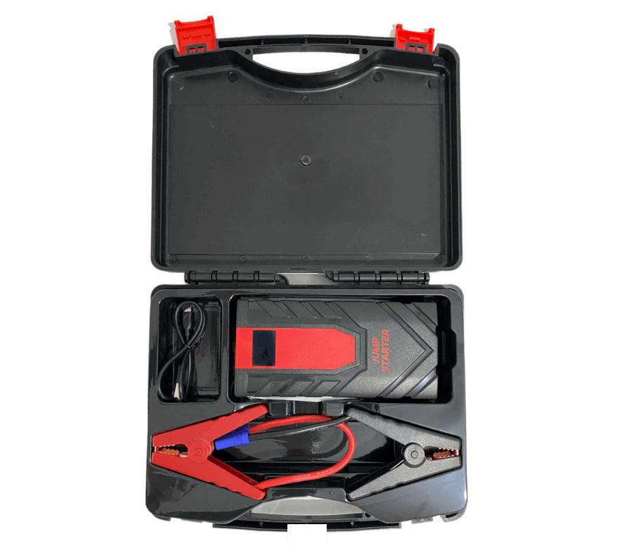 "Robot pornire auto 12V 1000A"